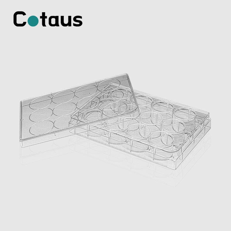 12 Well Cell Culture Plate