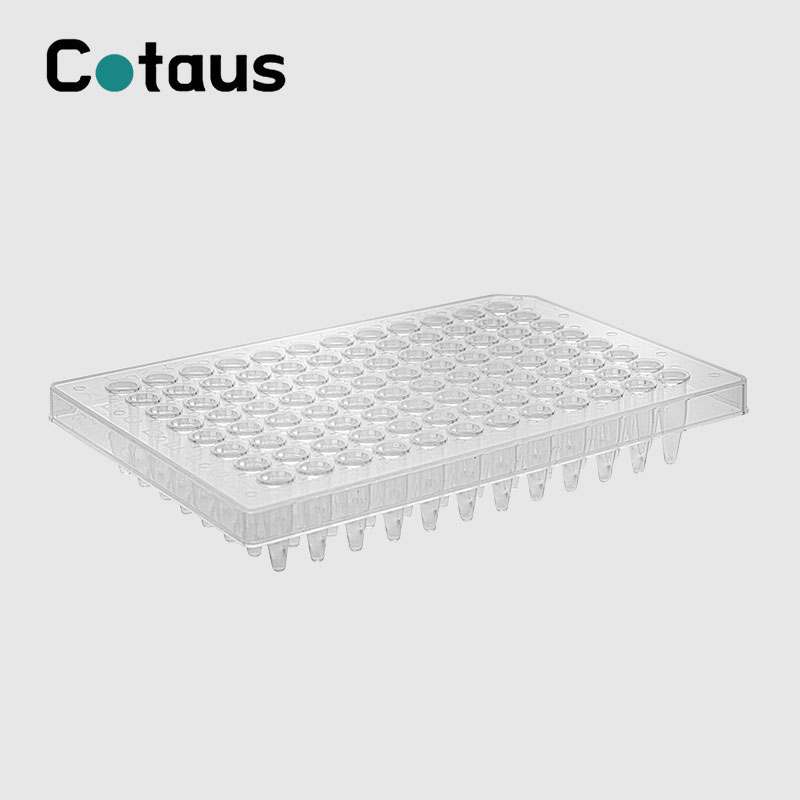 Wat is in PCR plaat