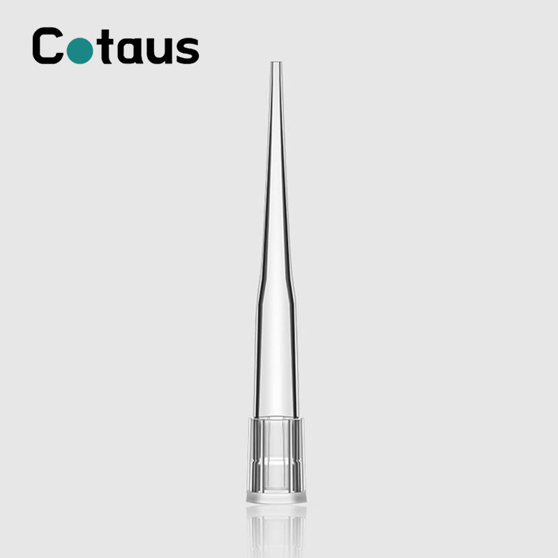 250Î¼l Transparante Pipettip Foar Beckman