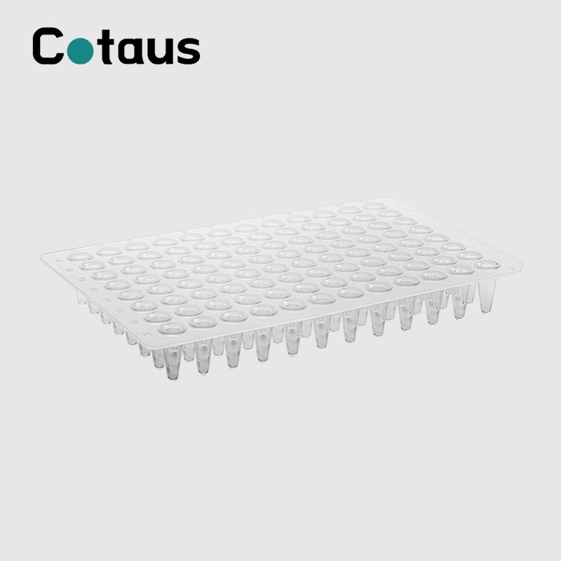 96 Well 0.1ml Transparant Gjin Skirt PCR Plate