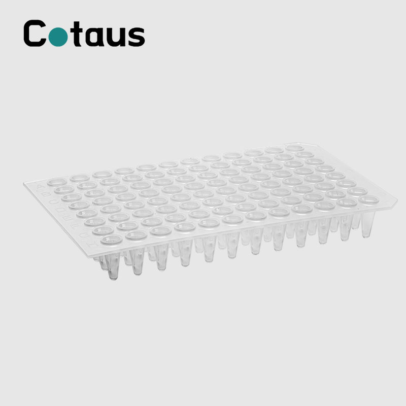 96 Well 0,2ml Transparant Gjin Skirt PCR Plate